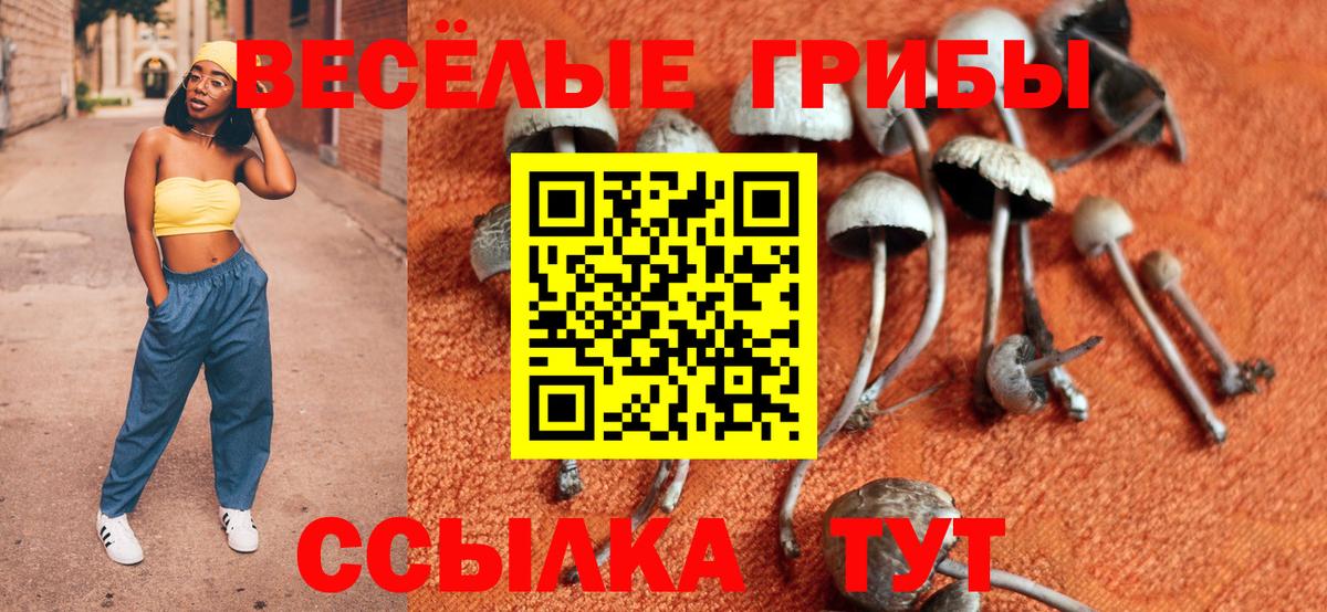 Оренбург  Псилоцибиновые грибы MAGIC MUSHROOMS  Вход с VPN 
